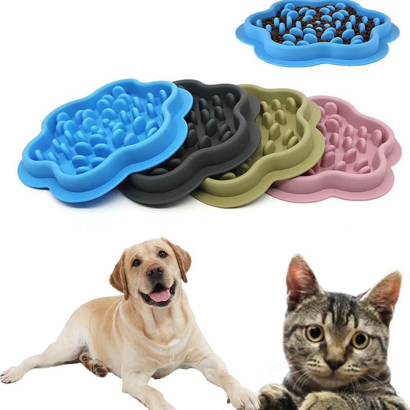 slow dog feeder